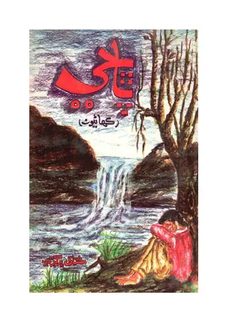 पाछी (कहाणियूं)