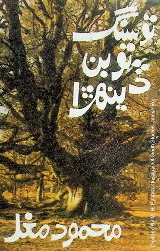 तू संग तू बिन ॾींन्हड़ा (ऐं ॿियूं कहाणियूं)