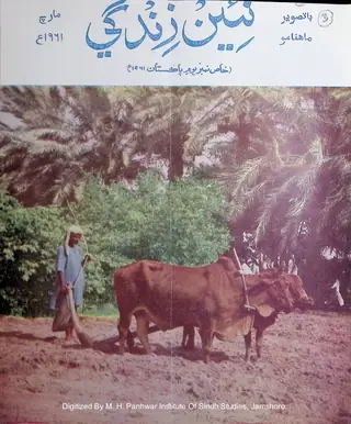 ماھوار نئين زندگي (جلد 14، نمبر 3، 1961)