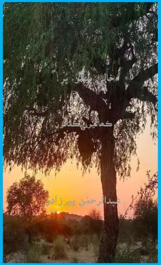 ख़ाली पियालो पुर (कहाणियूं ऐं कथाऊं)