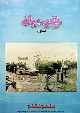 Reṛhe Miyāṇ (Novel)