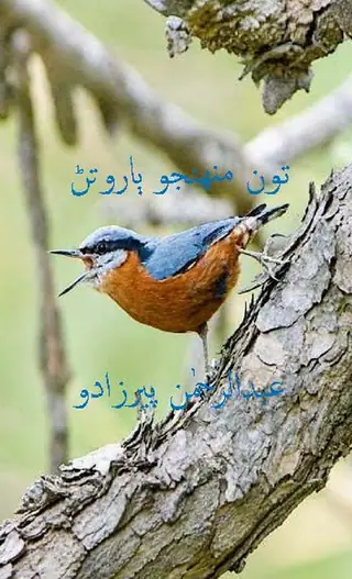 Tū̃ Munhinjo Bāroṭaṇ