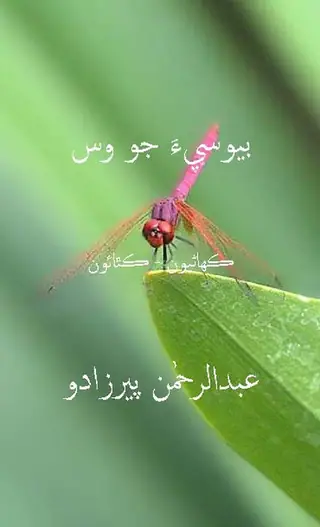 بيوسيءَ جو وس (ڪھاڻيون-ڪٿائون)