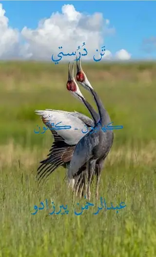 تن درستي (ڪھاڻيون-ڪٿائون)