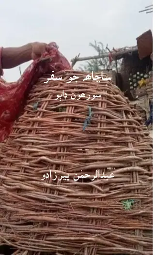 Sanjāh Jo Safar XVI
