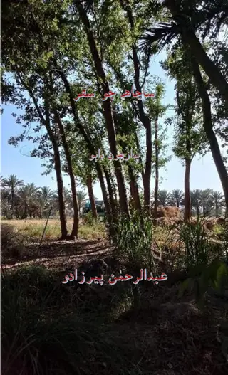 سنجها جو سفر XI