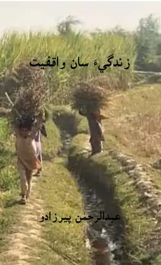 Zindagī Sān Wāqfīyat