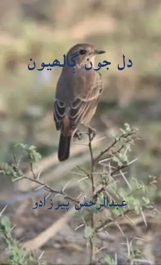 Dil Jūn Galhyūn