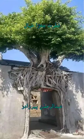 फ़ितरत जेहरा ख़्याल