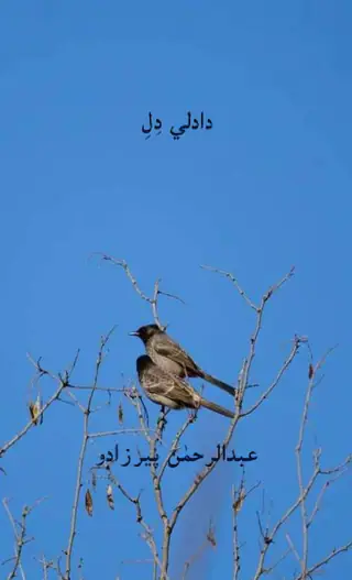 Dādlī Dil