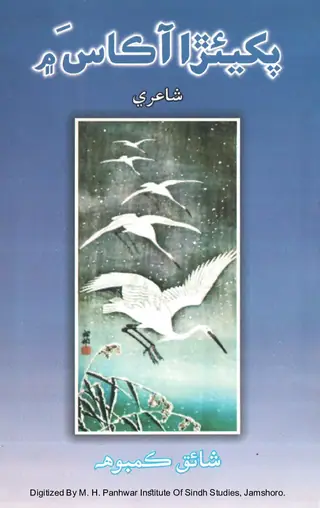 پاکيارا آڪاش ۾ (شاعري)