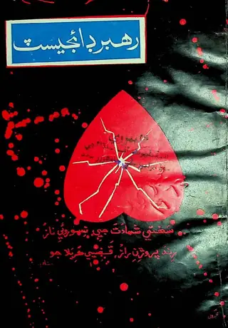 Rehbar Digest Monthly 1973 February