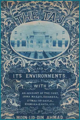 The Taj And Its Environments