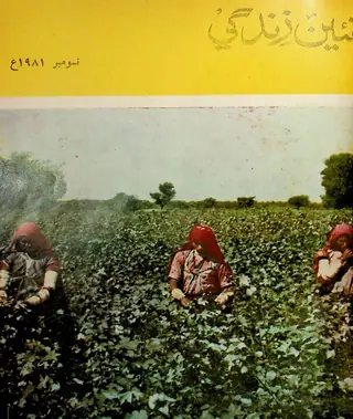 Monthly Naʼīn Zindagī Vol 34 No 11 1981