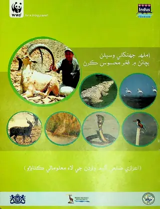 املٰه جنگل وسيلن بچائڻ ۾ فخر محسوس ڪرڻ