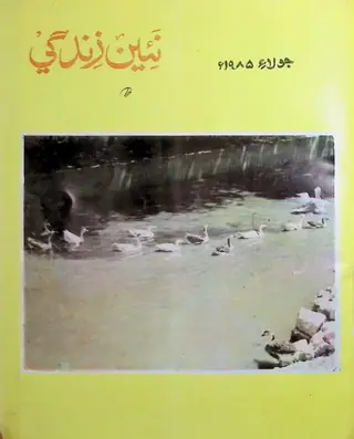 मंथली नईं ज़िंदगी वॉल्यूम 38 नंबर 7 1985