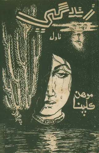 Zindgī Nāvil
