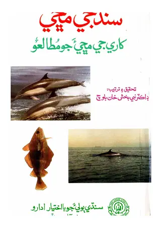Sindh Jee Machhi 2