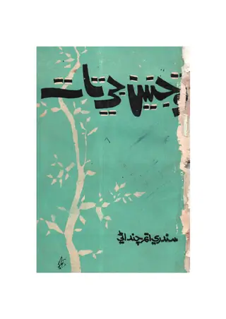 Tū̃ Jāṇīan Jī Tāt: 11 Short Stories