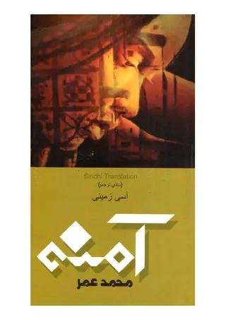 Aamina Novel