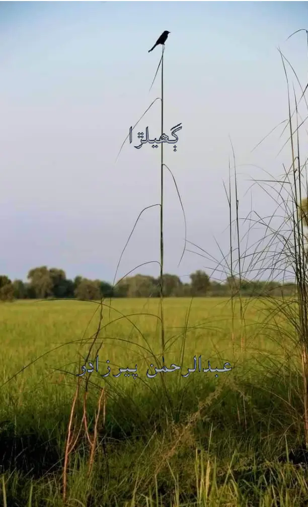 Gahilṛā Kahāṇyūn