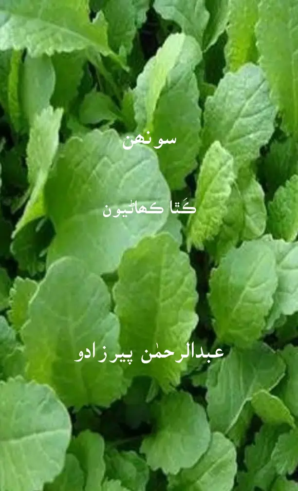 Sūnhan (Kathā Kahāṇiyūn)