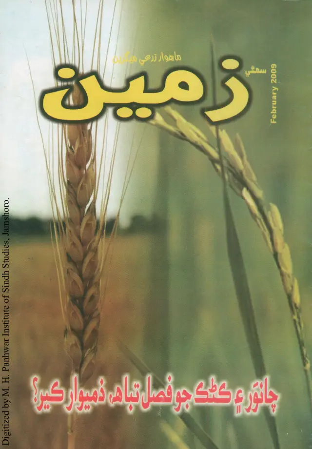 माहवार ज़मीन (2009 फेबरवरी)