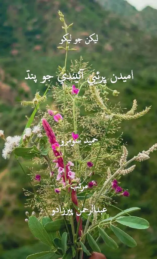 Lekhan Jo Lekho: Umīdan Bharī Āʼīnde Jo Pandh