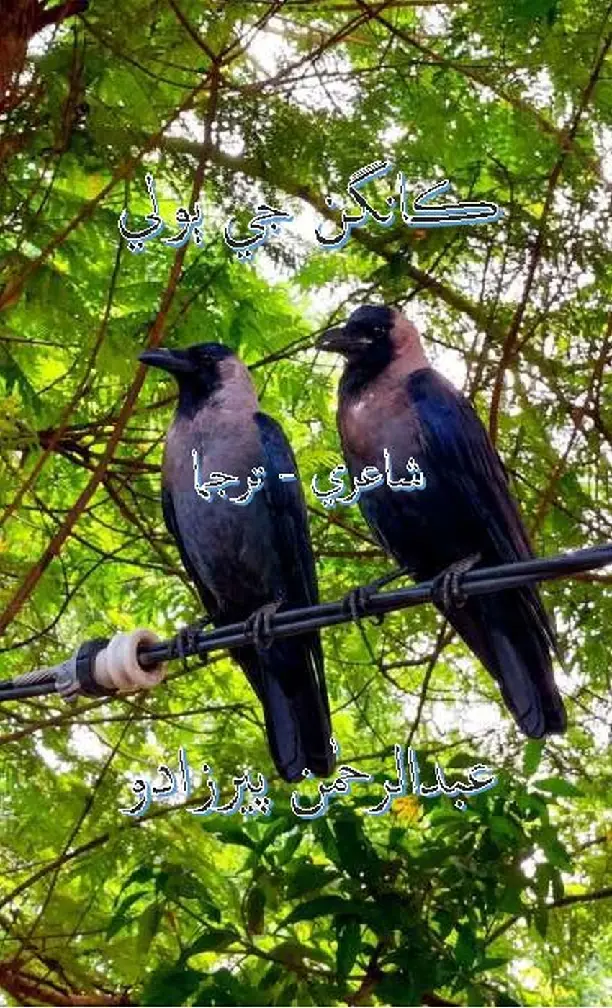 Kāngan Jī Bolī (Shāʻirī-Tarjamā)